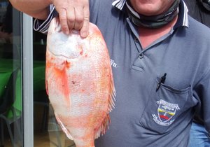 Omgekrapte see - Goeie vangstes